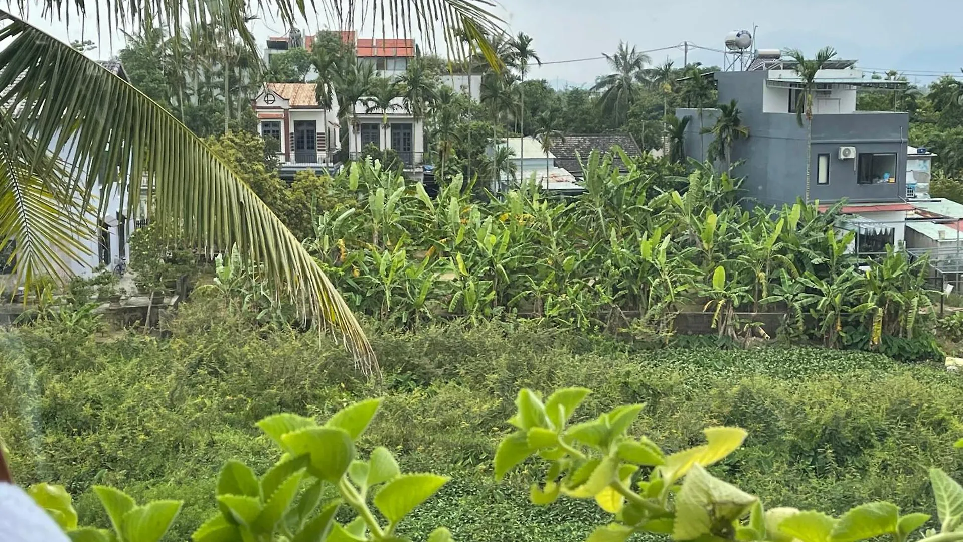 Hoi An Ti Hon House Villa Hoi An