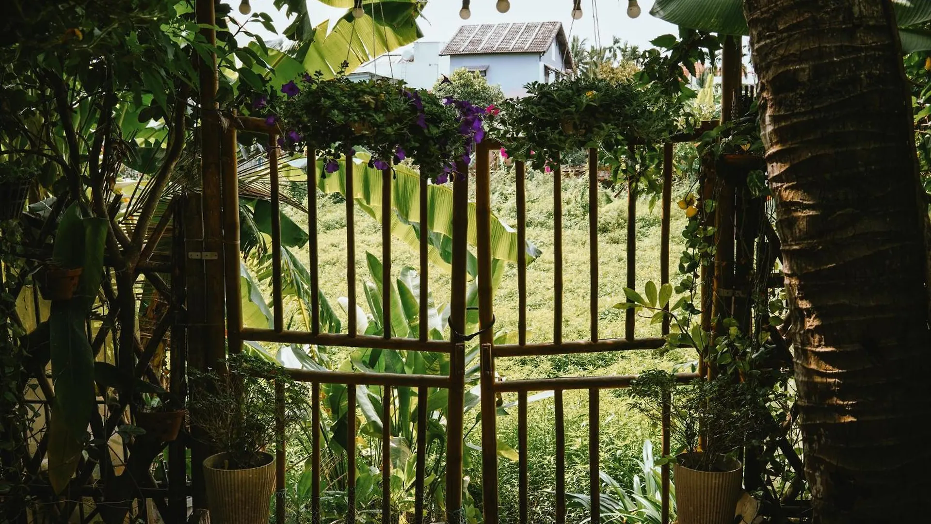 Hoi An Ti Hon House Villa Hoi An